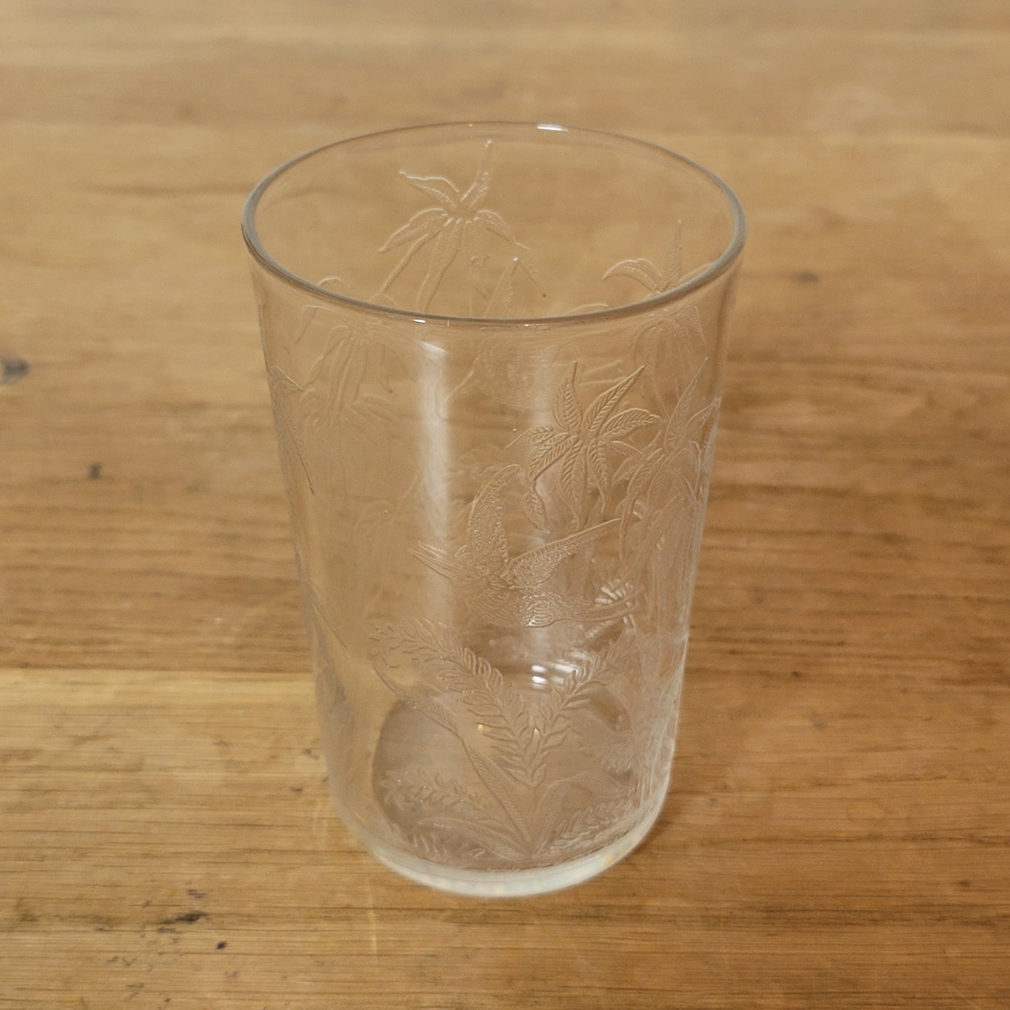 1960s etched glass tumbler with tropical bird design