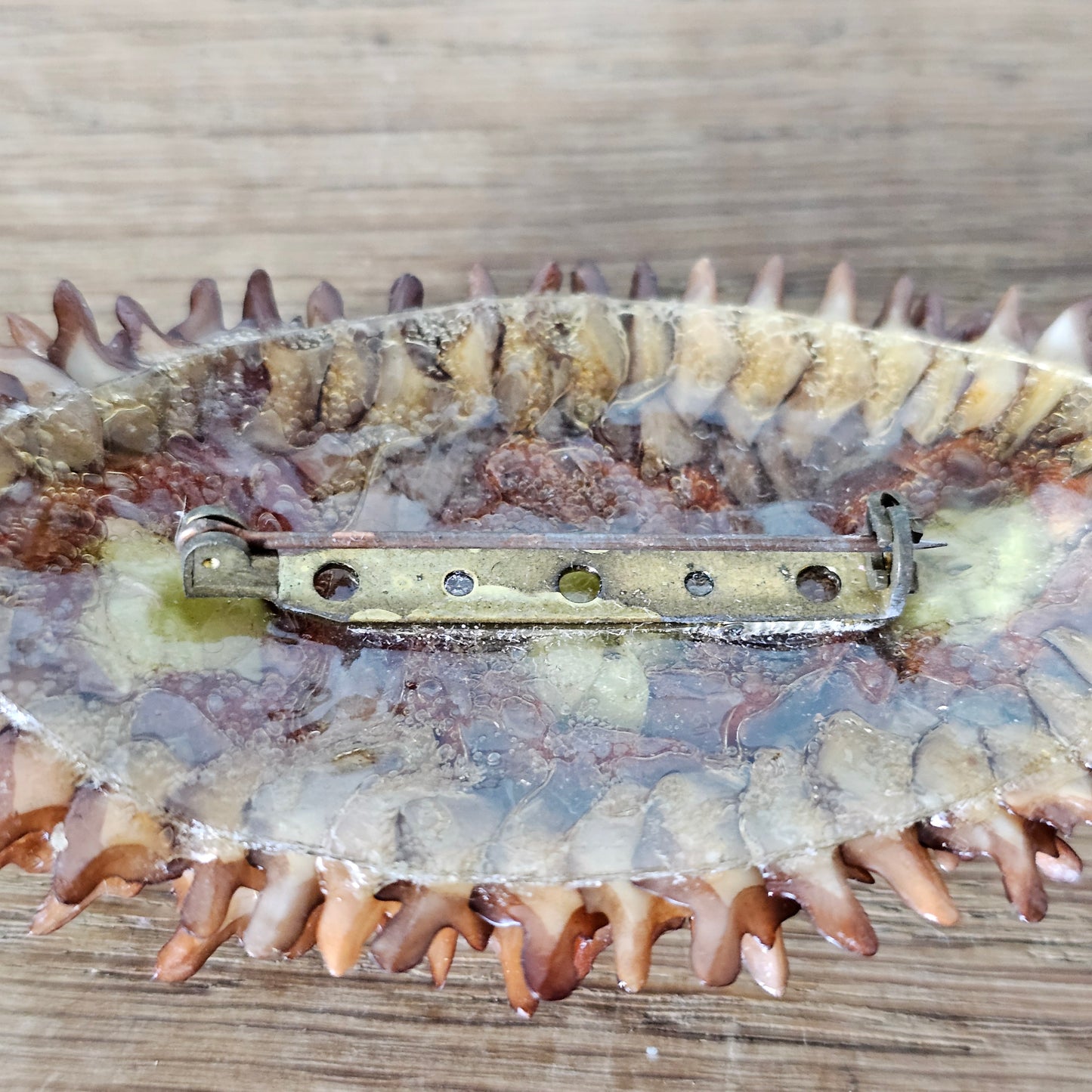 1960s/70s hand-crafted natural seed pod flower pod brooch