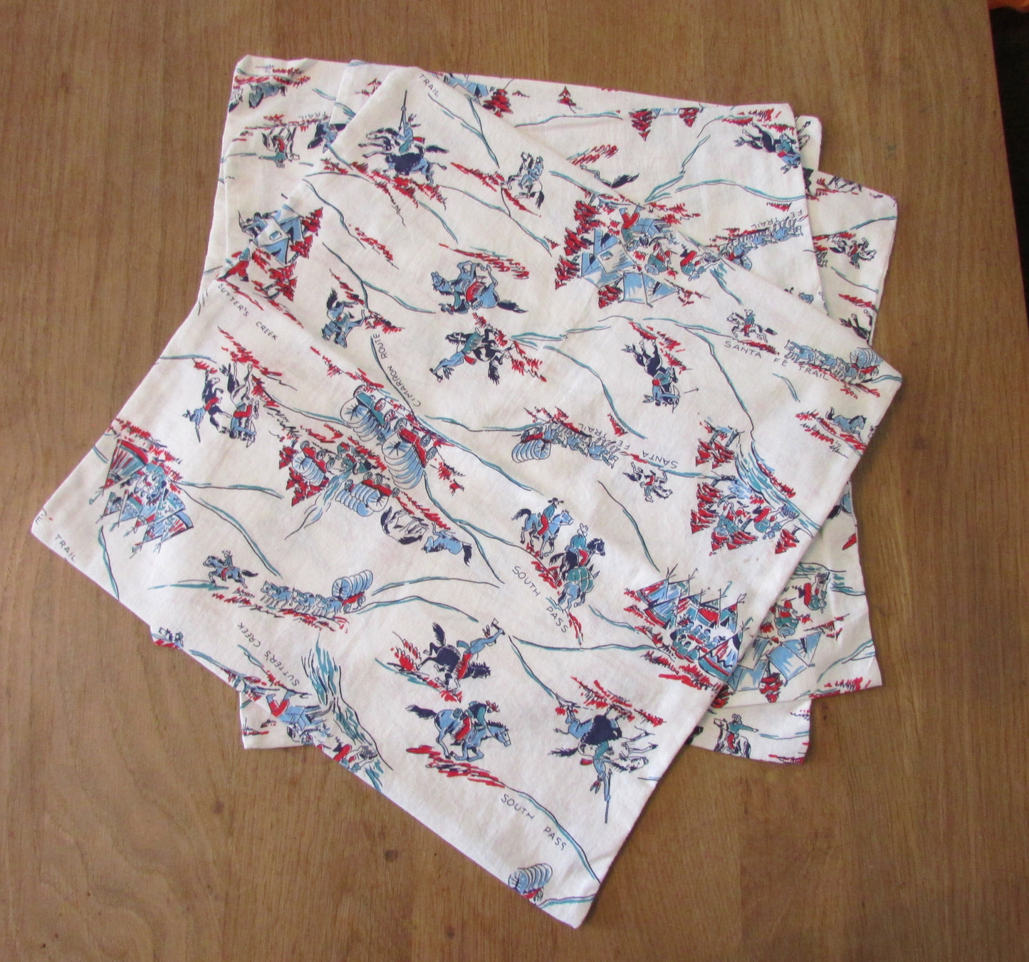 Home-made mid-century wagon trail/Wild West pattern cushion cover with same pattern reverse