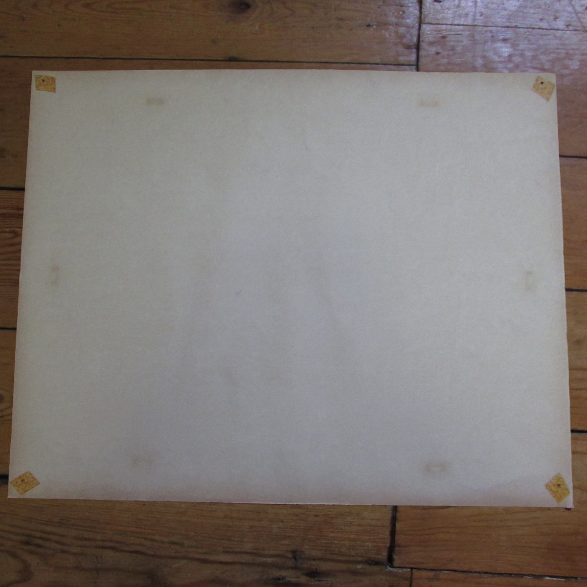 1950s Macmillan "Nature Class Pictures" Farmyard Animals school wall chart poster