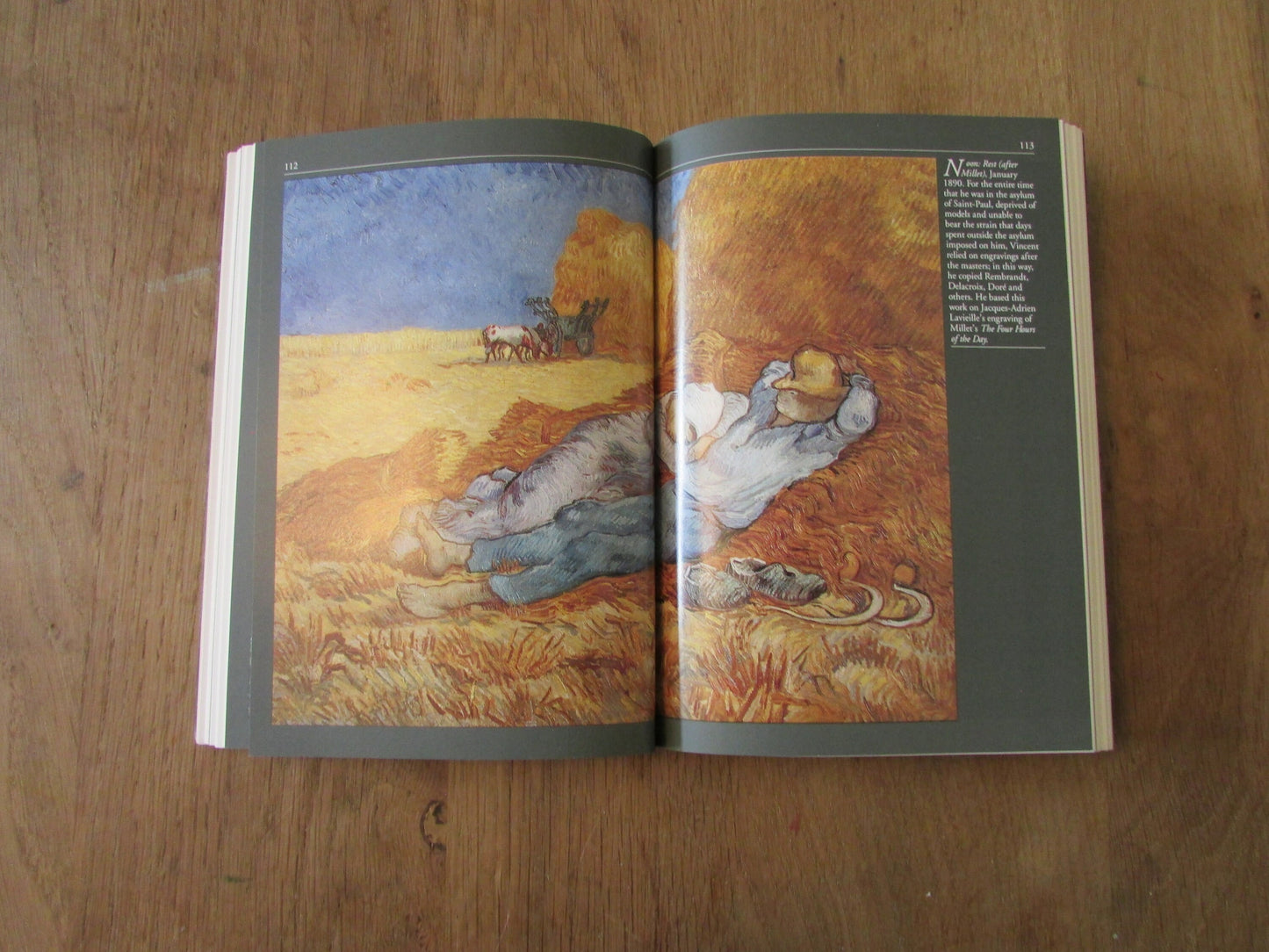 Van Gogh: The Passionate Eye, by Pascal Bonafoux (Softback, 1992)