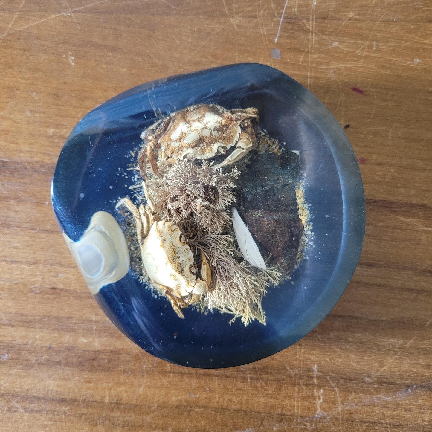 1970s 'seashore' filled resin paperweight