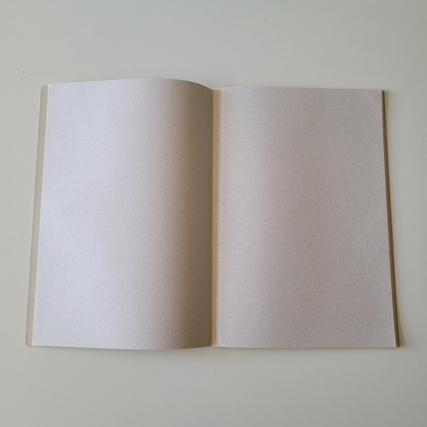 Two (unused) vintage scrapbooks