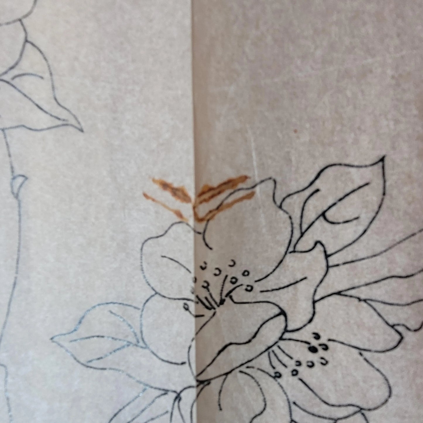 Unused vintage Briggs 15444 "Peacock Panel" embroidery transfer