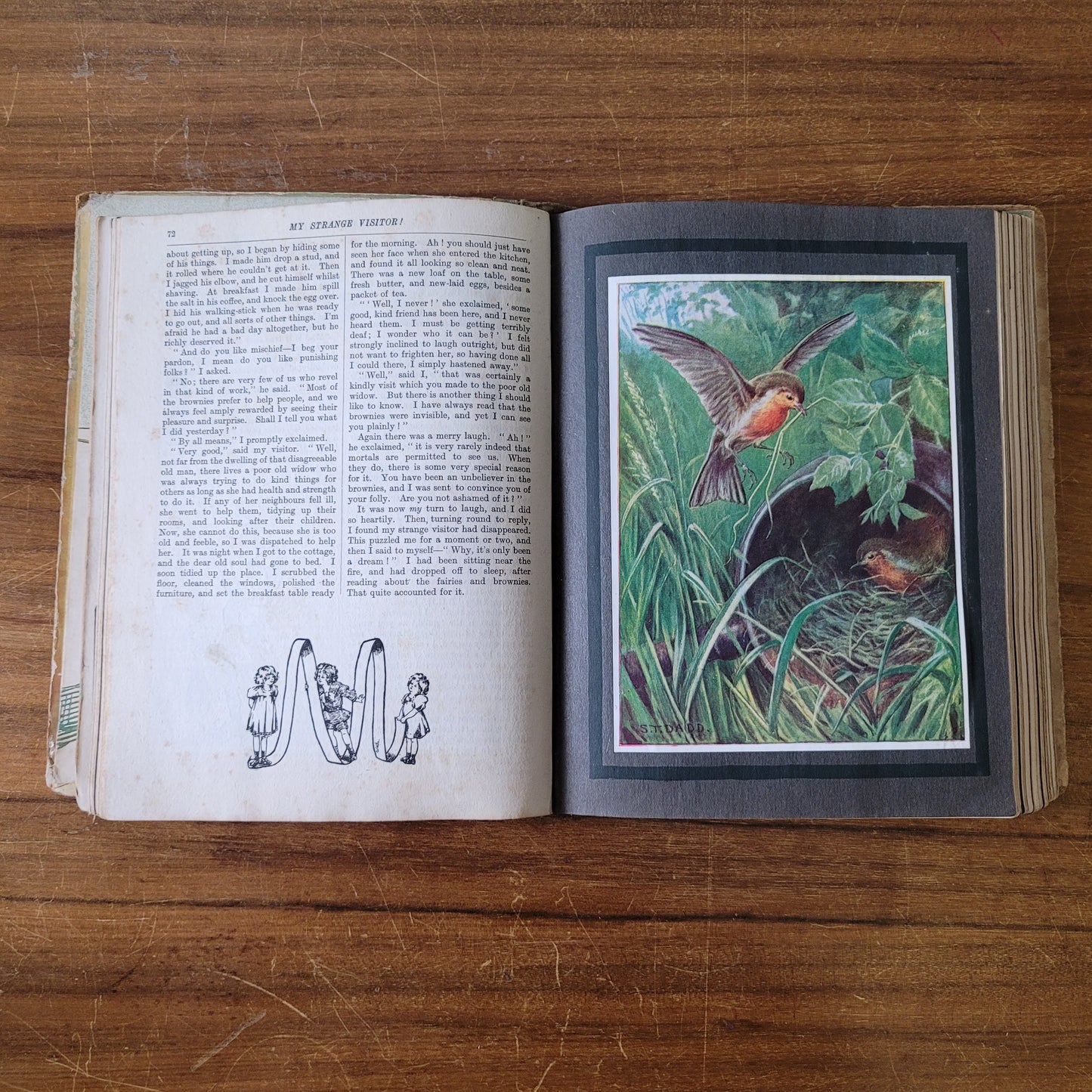 Our Darlings, by Ravenor Bullen & other (Hardback, 1900s)