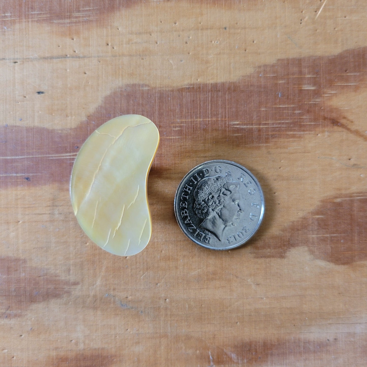 Large 1960s mother of pearl kidney bean shaped flat clip-on earrings