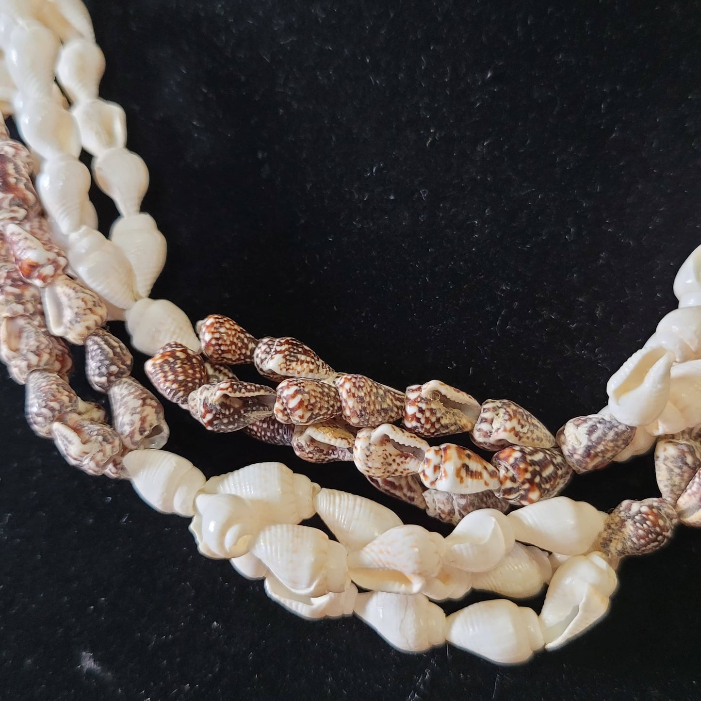 1970s handmade Philippines cowrie & conch shell necklace