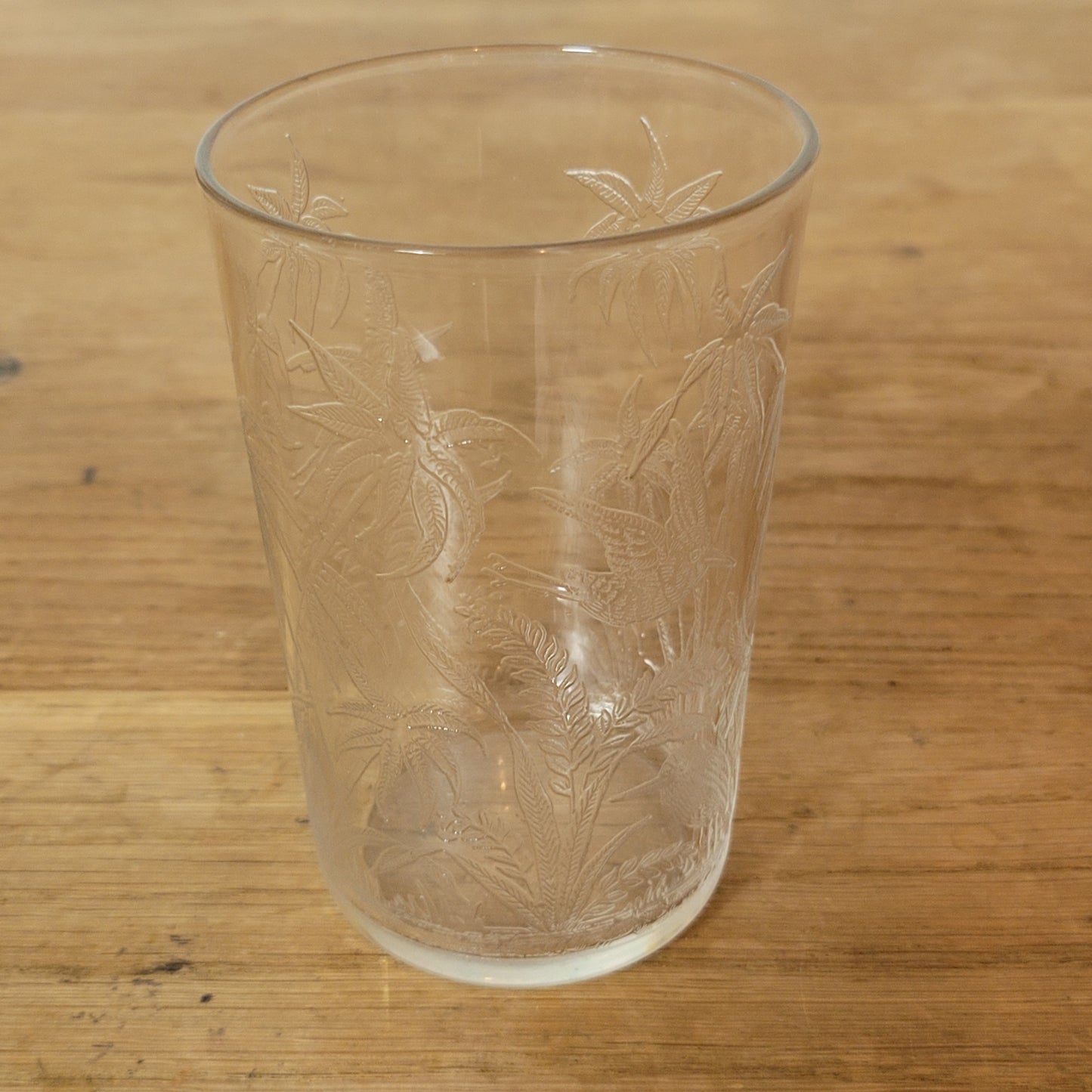 1960s etched glass tumbler with tropical bird design