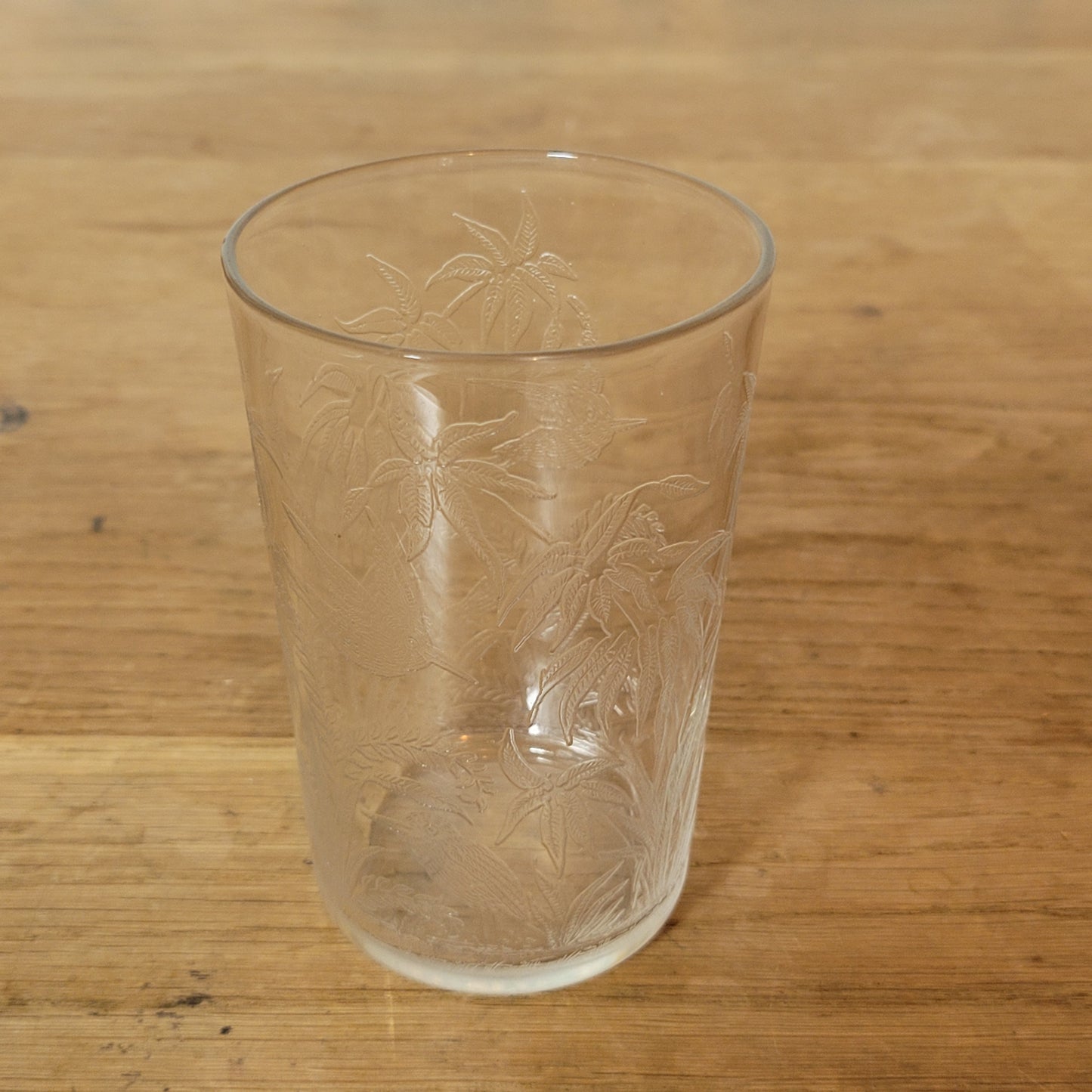 1960s etched glass tumbler with tropical bird design