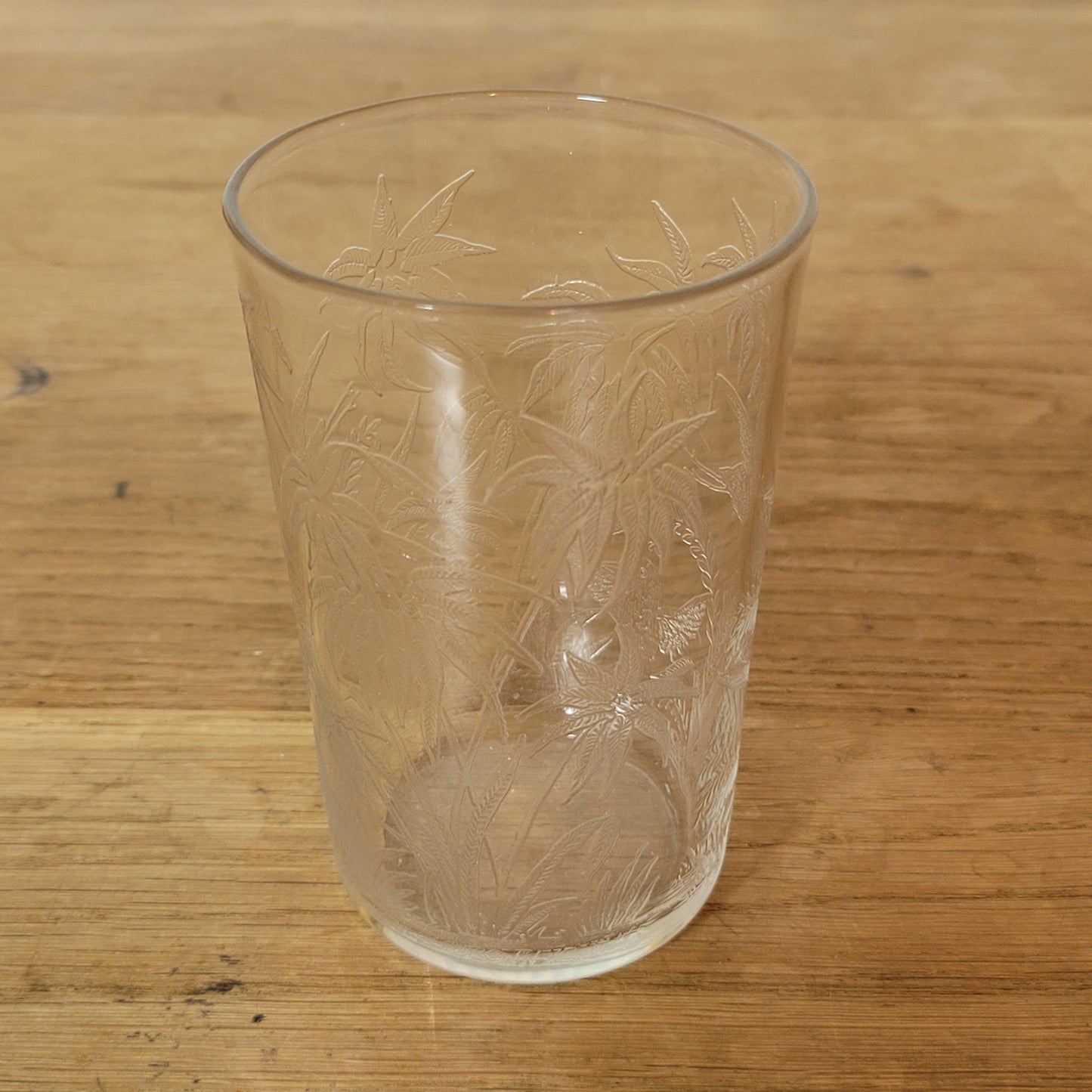 1960s etched glass tumbler with tropical bird design