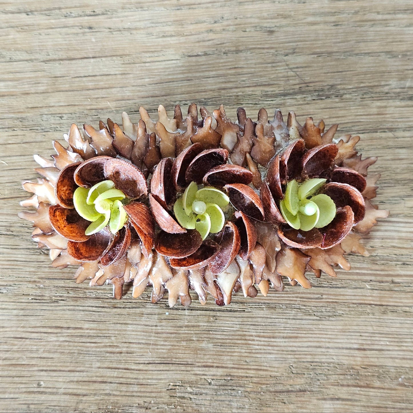 1960s/70s hand-crafted natural seed pod flower pod brooch