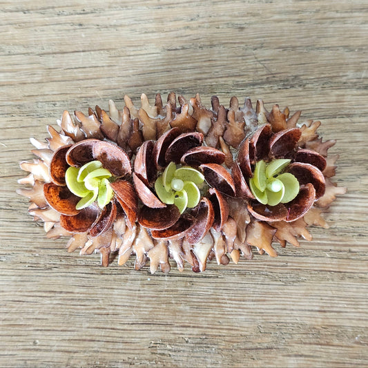1960s/70s hand-crafted natural seed pod flower pod brooch