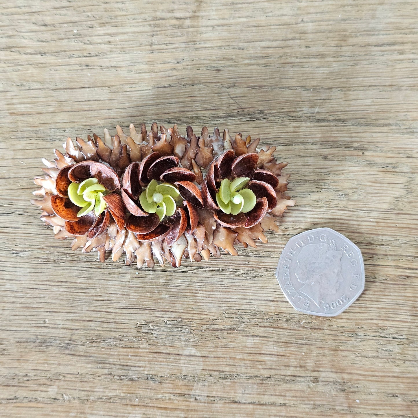 1960s/70s hand-crafted natural seed pod flower pod brooch