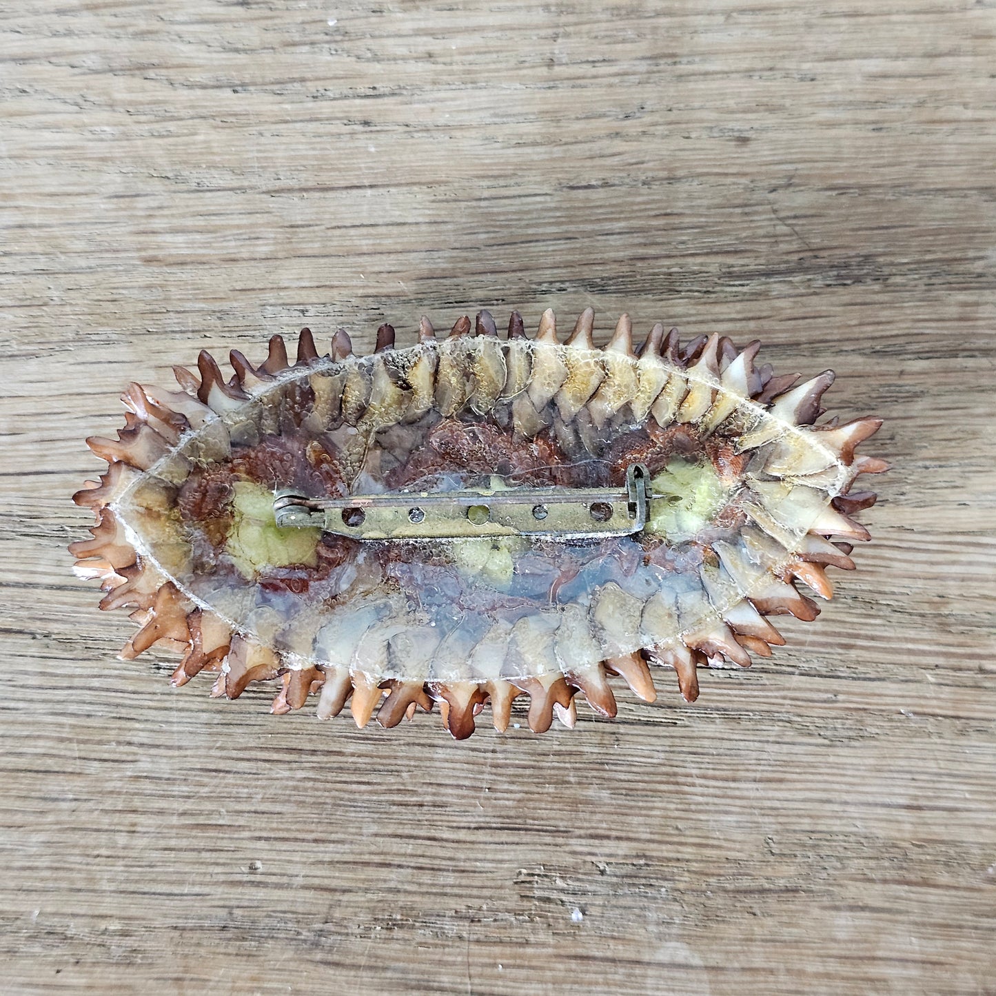 1960s/70s hand-crafted natural seed pod flower pod brooch
