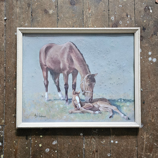 circa. 1950s "New Arrival" framed horse print by C.W. Anderson