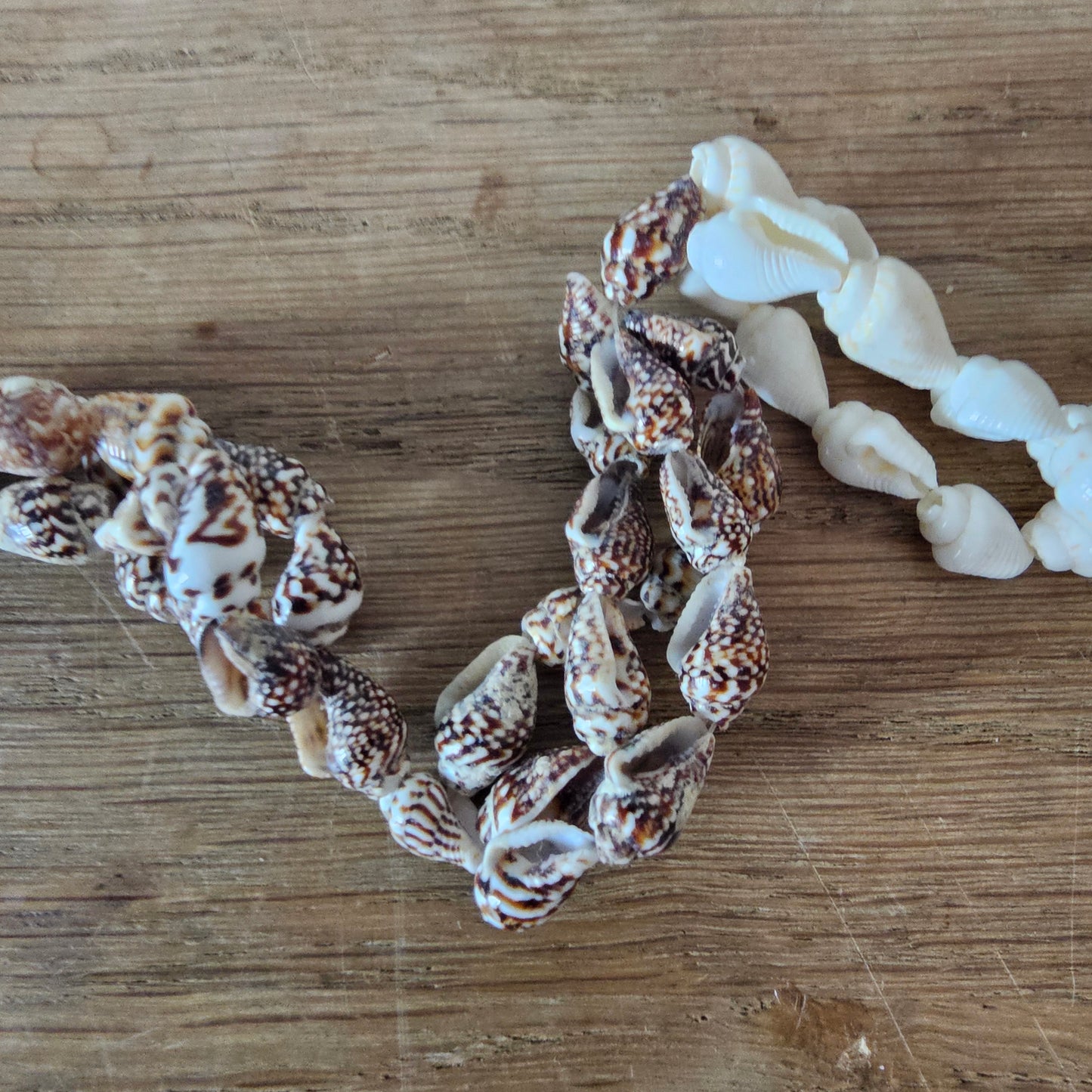 1970s handmade Philippines cowrie & conch shell necklace