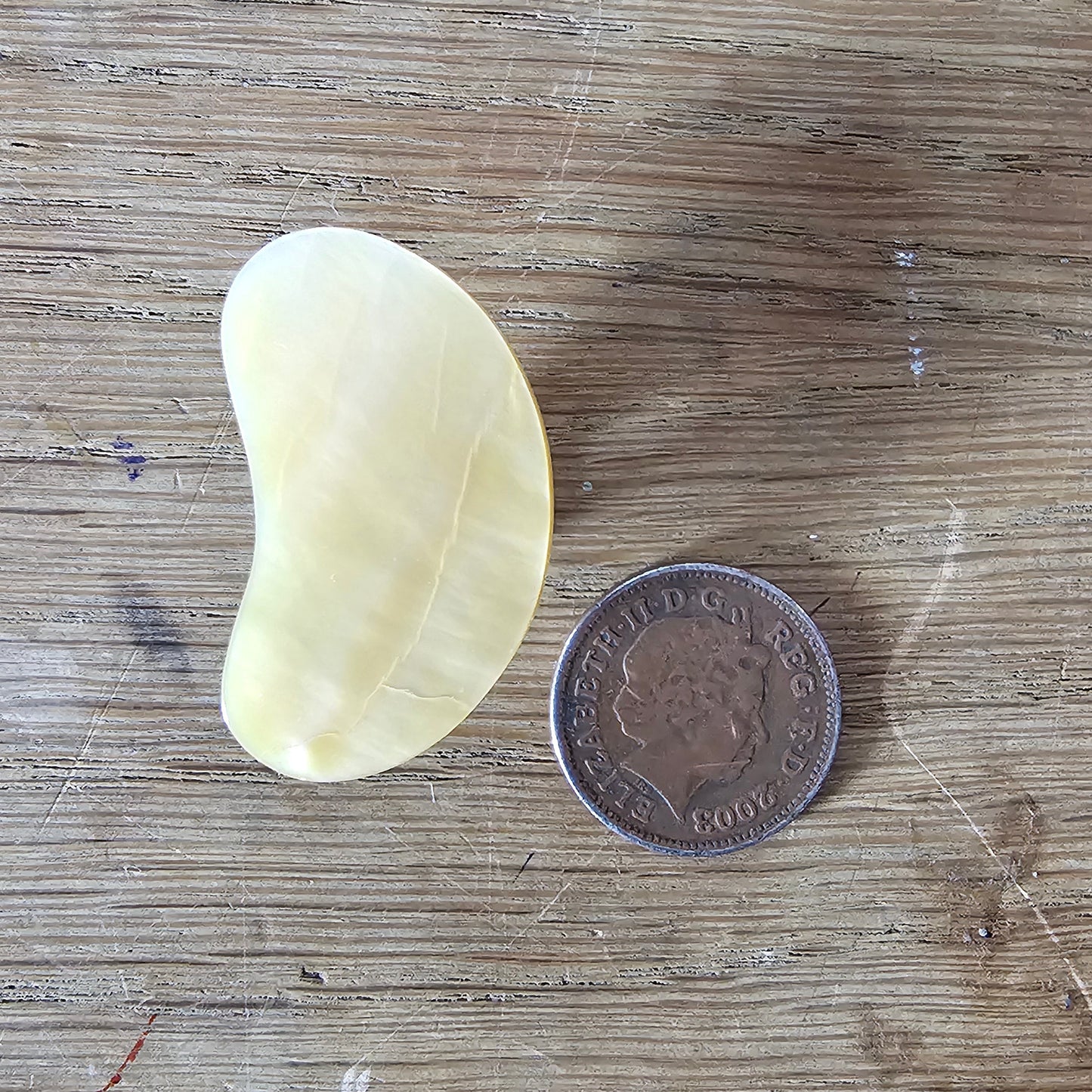 1960s Mother of Pearl kidney bean shaped clip-on earrings