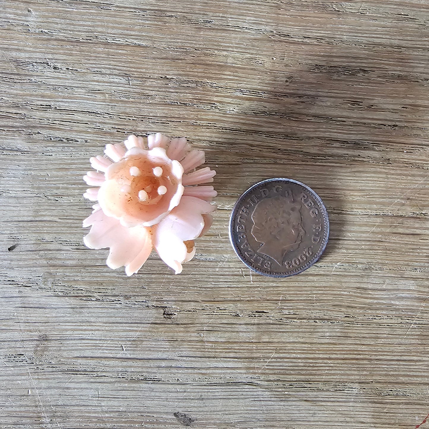 1940s peach plastic 3D floral clip-on earrings