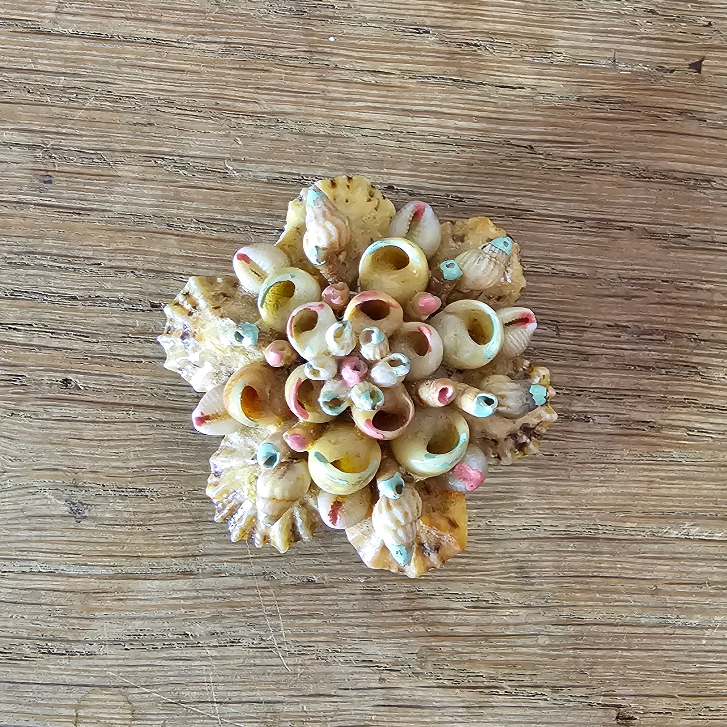 1950s hand-painted miniature shell cluster brooch