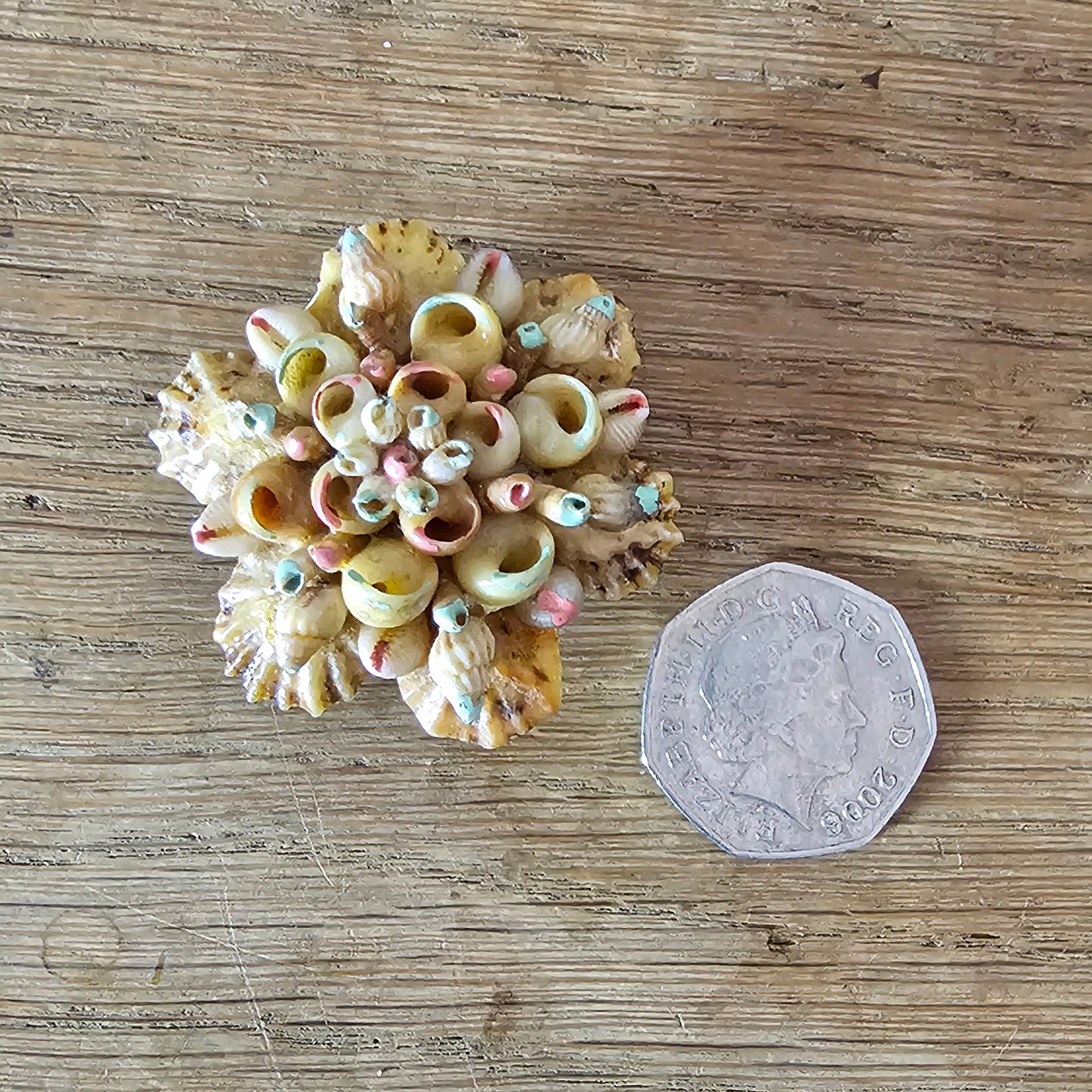 1950s hand-painted miniature shell cluster brooch