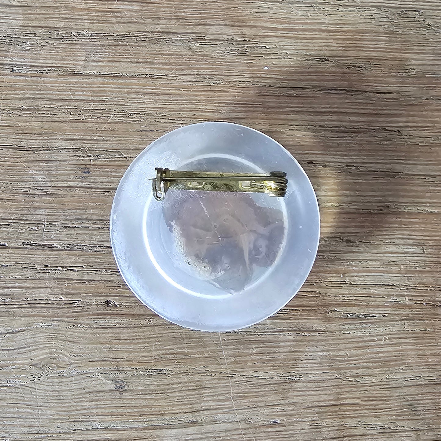1930s/40s reverse carved dome lucite brooch with hand-painted flowers