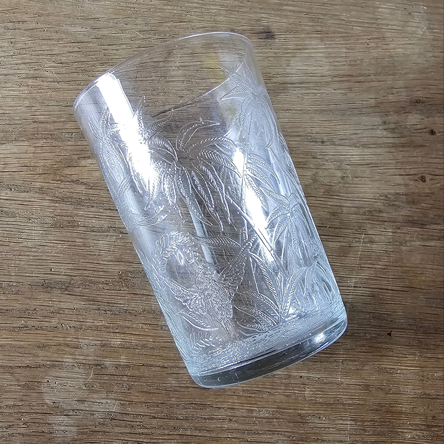 1960s etched glass tumbler with tropical bird design