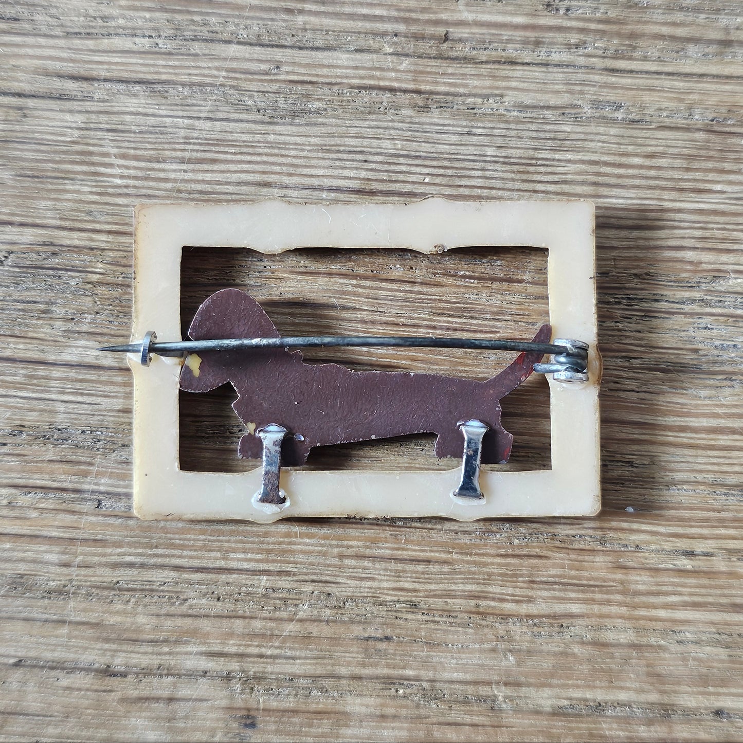 1930s/40s acrylic Dachshund dog in faux bamboo frame brooch