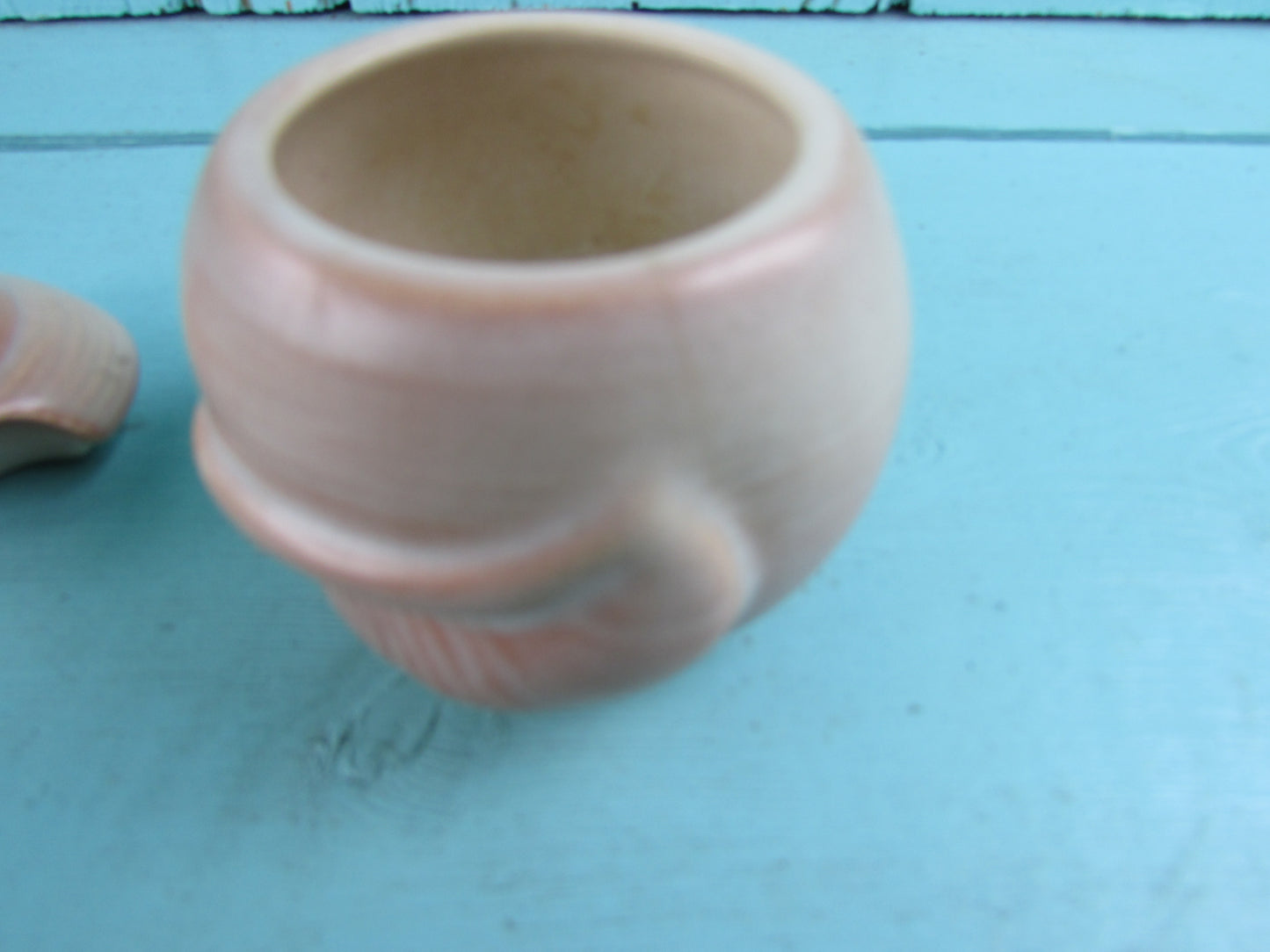 1960s Carlton Ware handpainted Australian Design ceramic shell cruet set