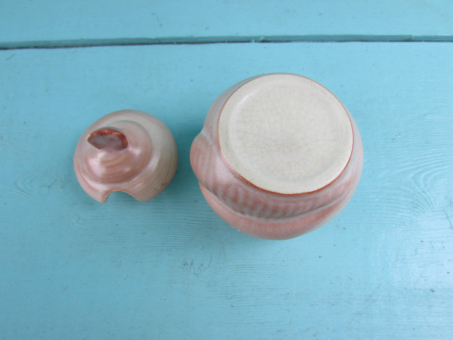 1960s Carlton Ware handpainted Australian Design ceramic shell cruet set