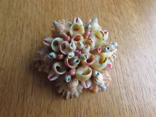 Vintage hand-painted miniature shell cluster brooch