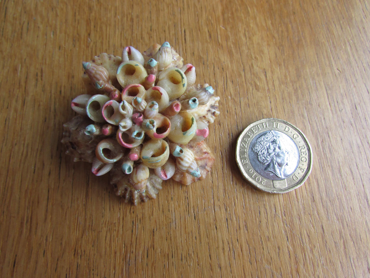 Vintage hand-painted miniature shell cluster brooch