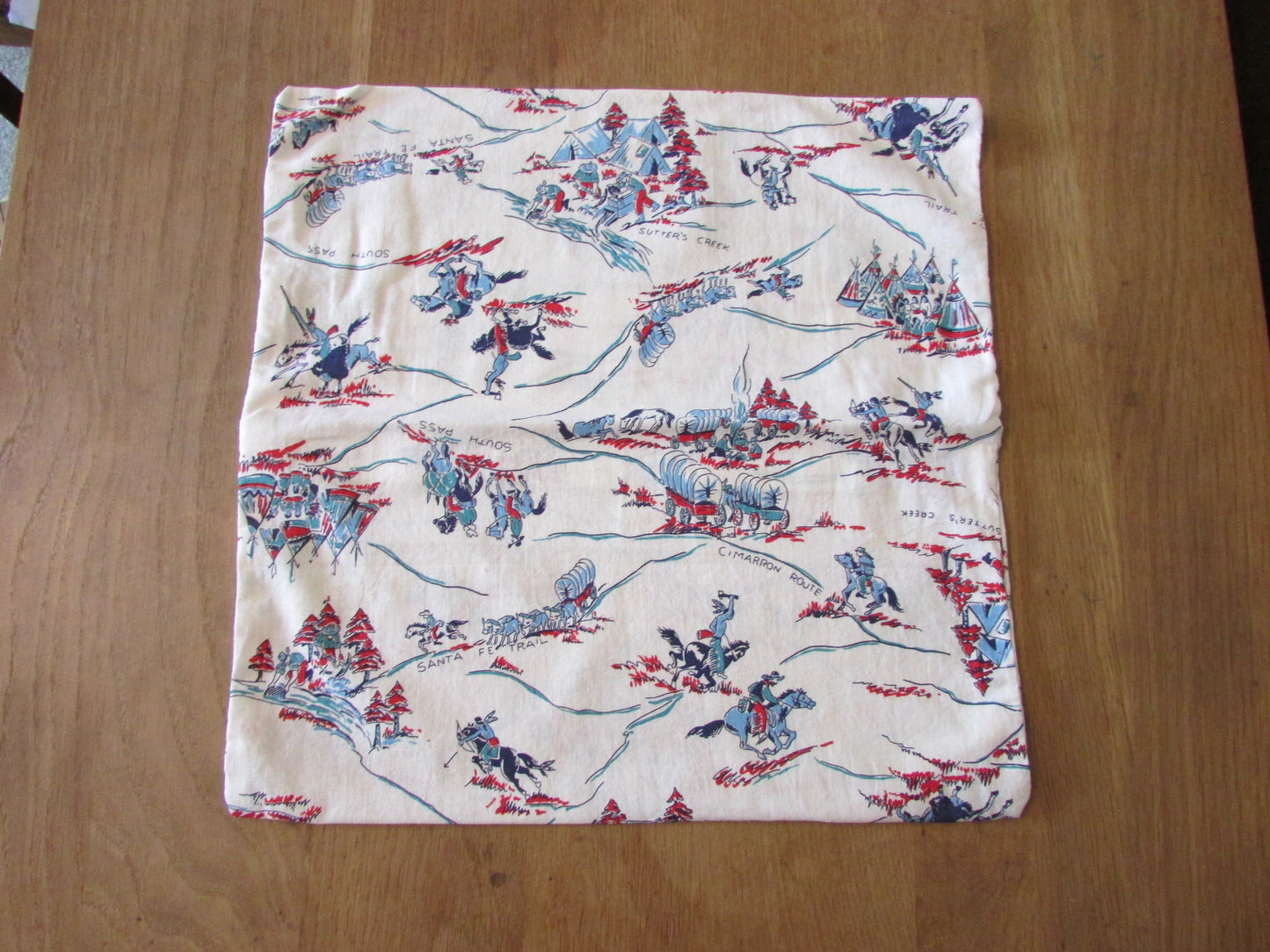 Home-made mid-century wagon trail/Wild West pattern cushion cover with same pattern reverse