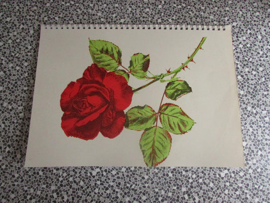 Home-made A4 wire bound sketchbook using 170gsm Acid Free Cartridge Paper, Carmen/L'Arlesienne