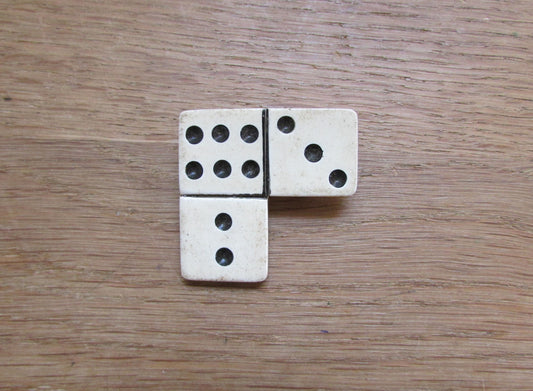Vintage plastic domino brooch