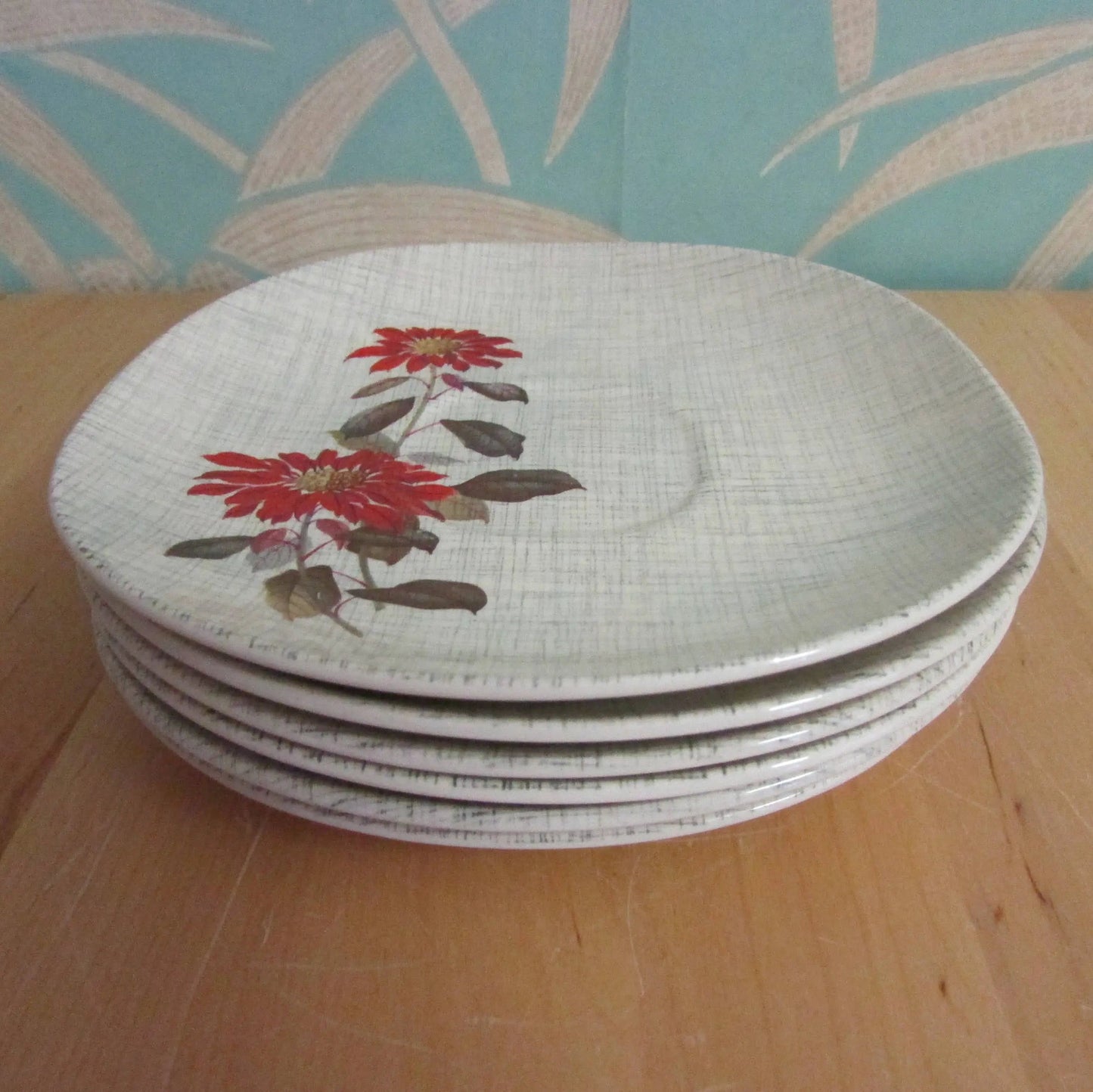 Set of 6 1960s J&G Meakin Sol "Flamenco" red poinsettia patterned saucers