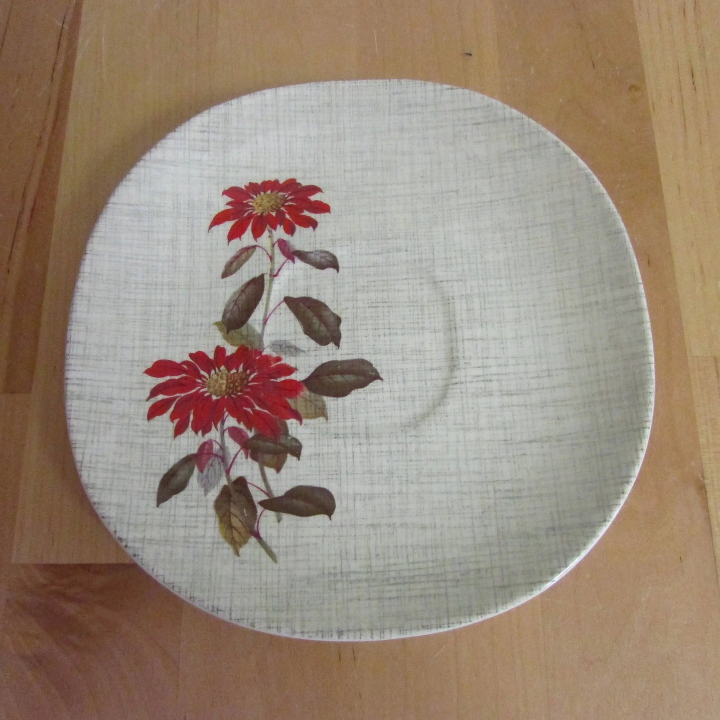 Set of 6 1960s J&G Meakin Sol "Flamenco" red poinsettia patterned saucers