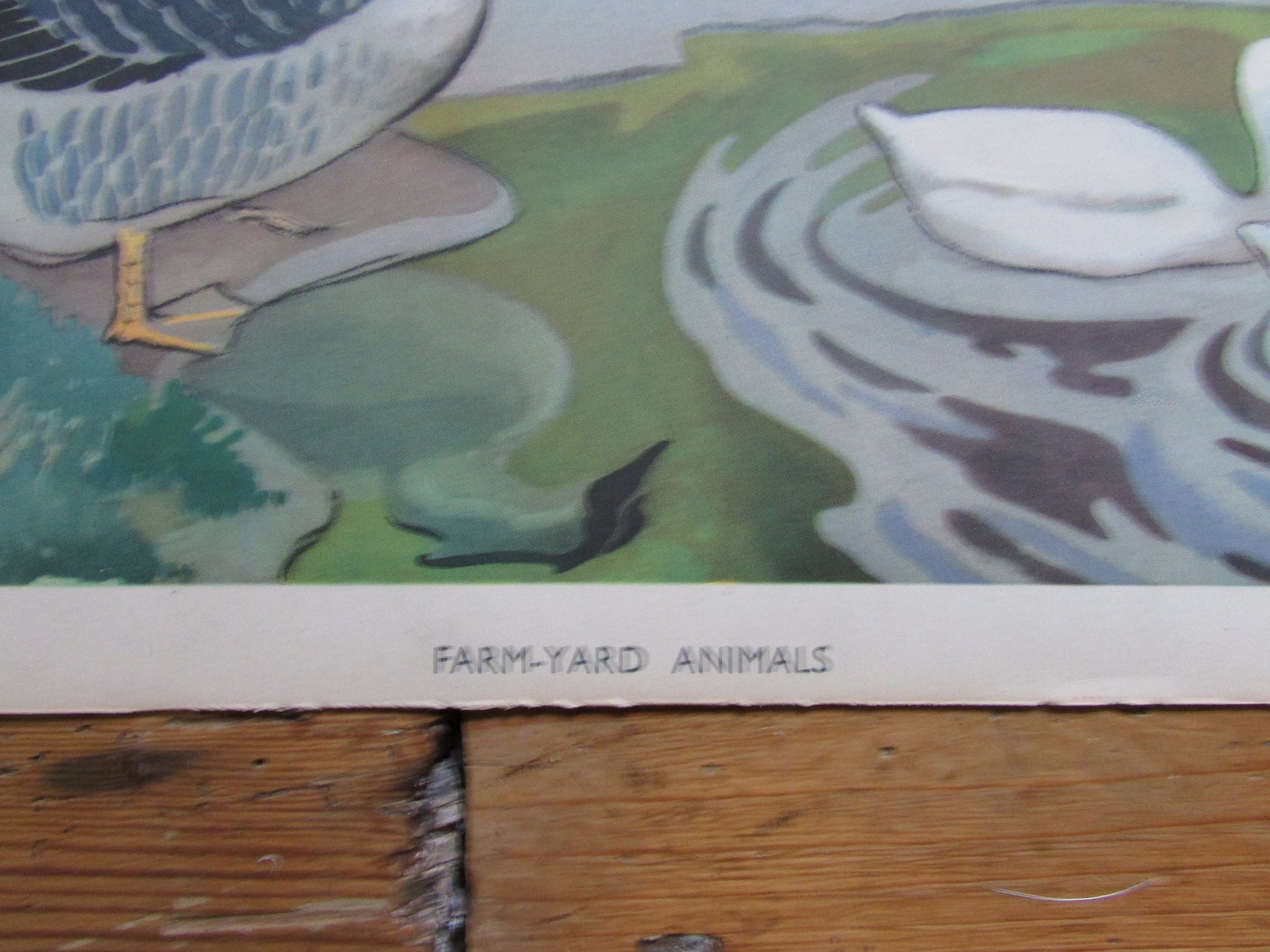 1950s vintage school poster "Farmyard Animals"