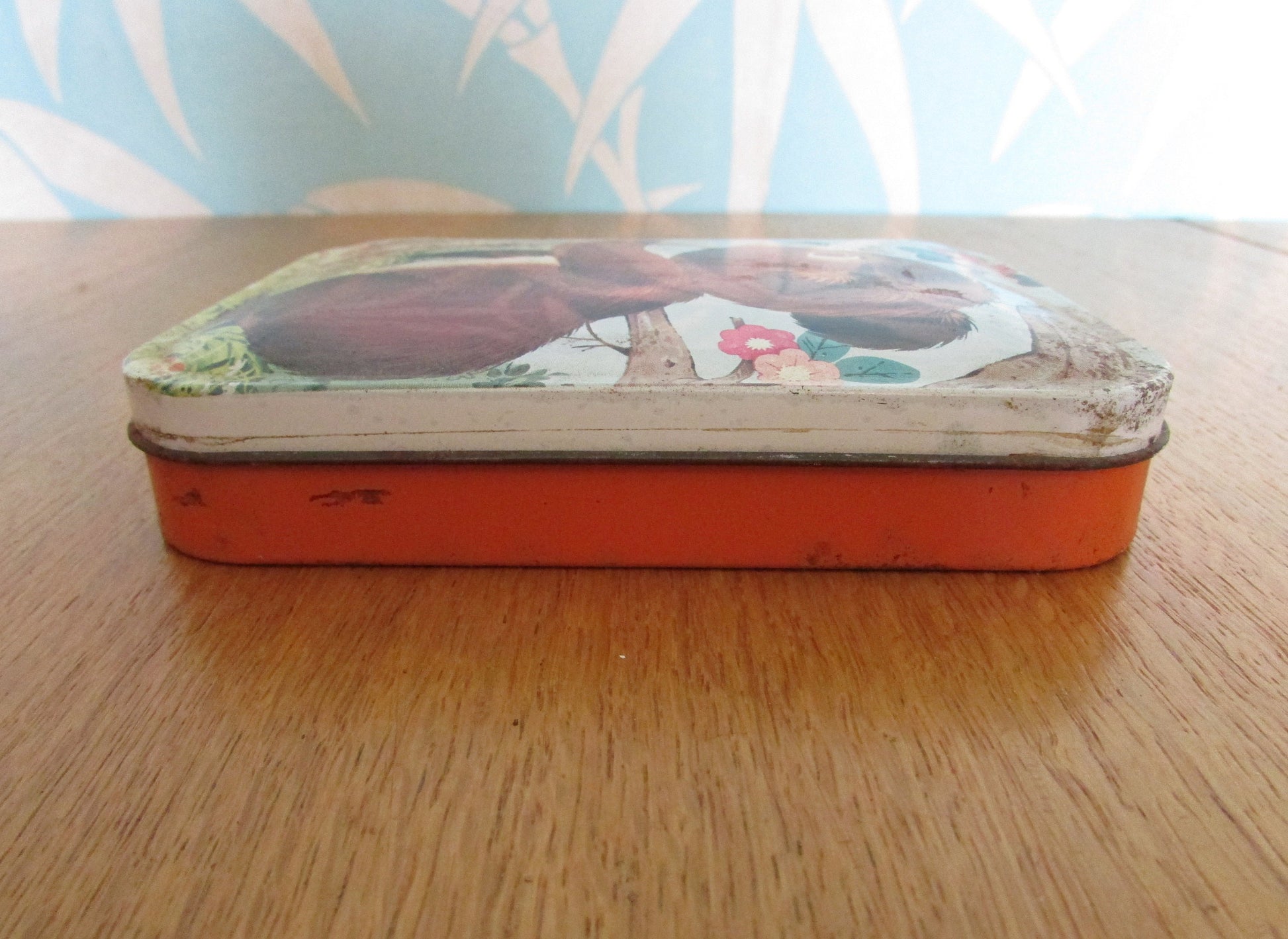Vintage cartoon bear design Bluebird Confectionery tin