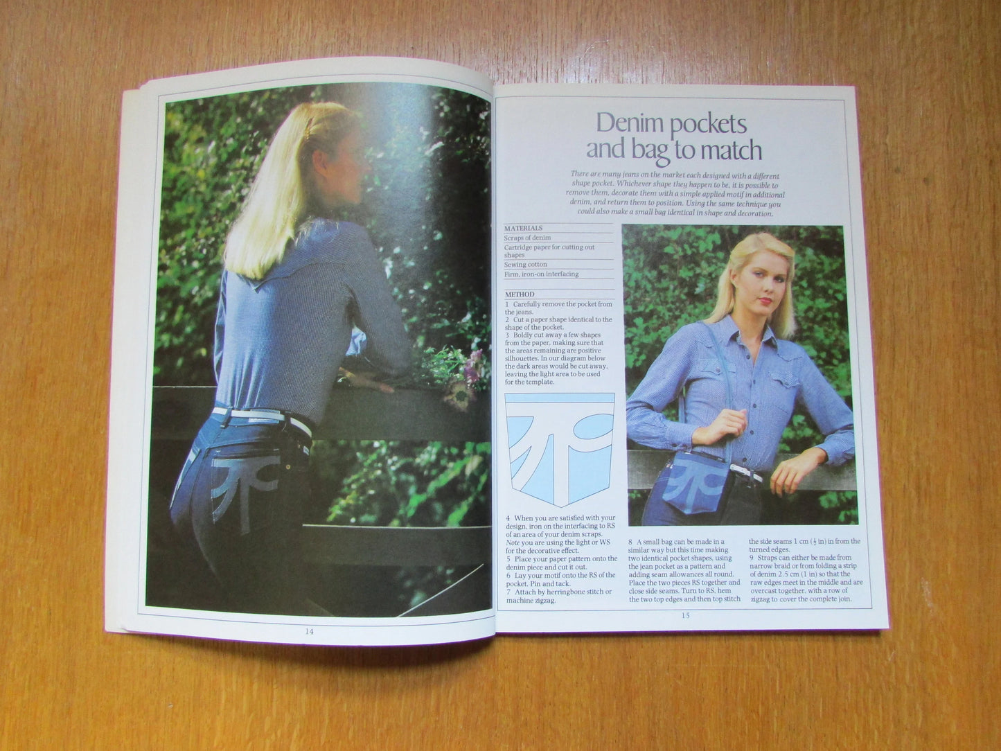 BBC Embroidery: An Introduction to The Basic Skills & Techniques of the Craft, by Diana Springall (Softback, 1980)