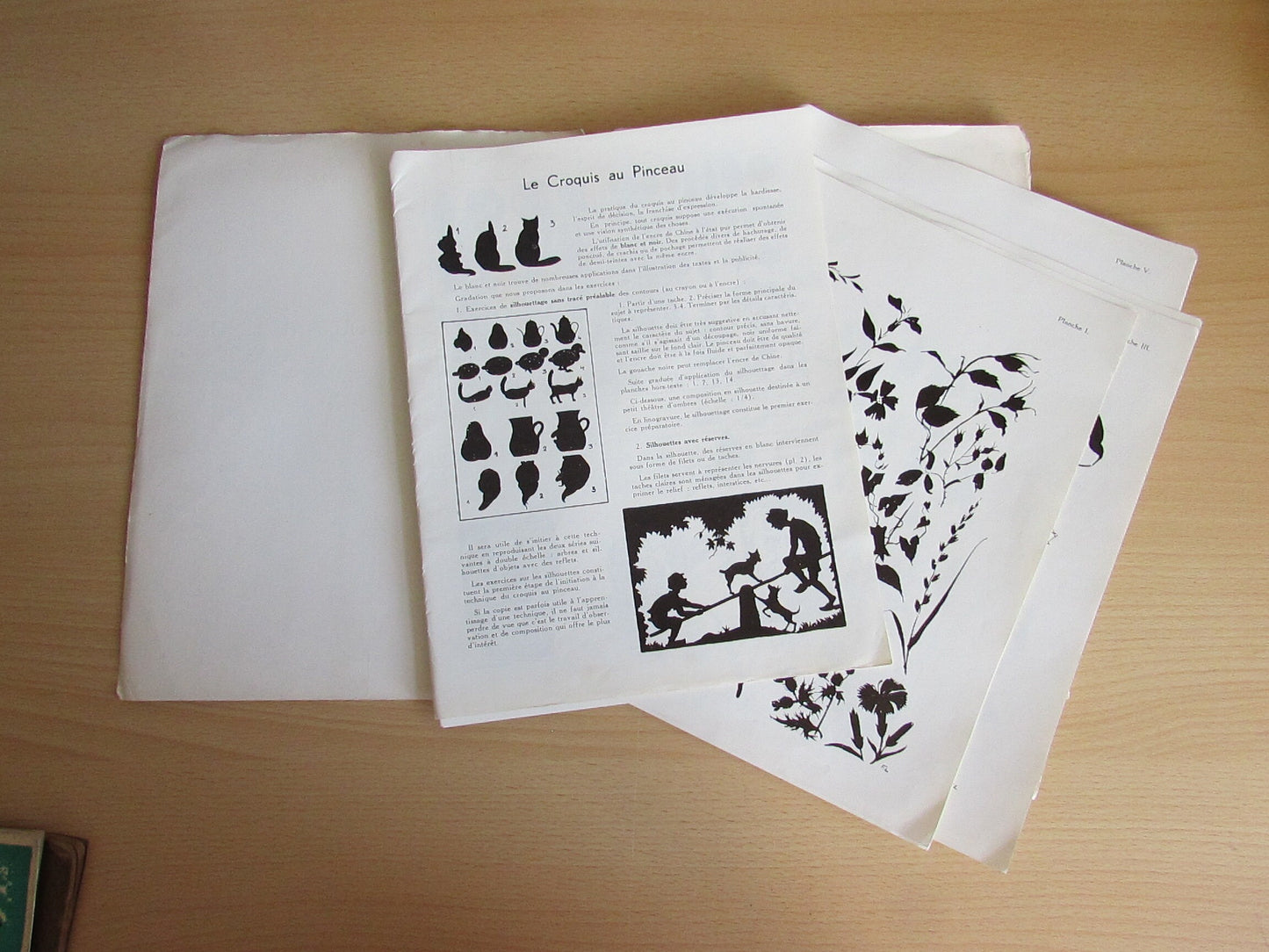 Vintage Collection le Dessin Croquis au Pinceau, 20 lecons (French 20 educational art lessons in brush sketching)