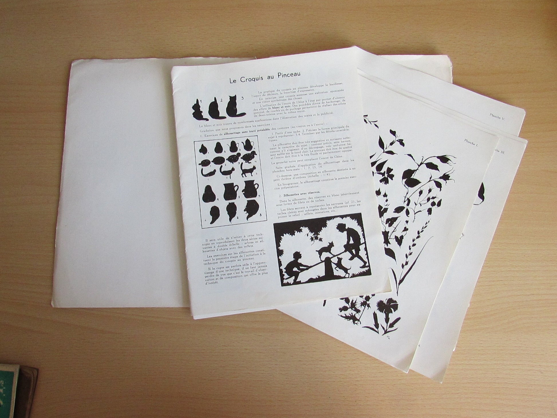 Vintage Collection le Dessin Croquis au Pinceau, 20 lecons (French 20 educational art lessons in brush sketching)