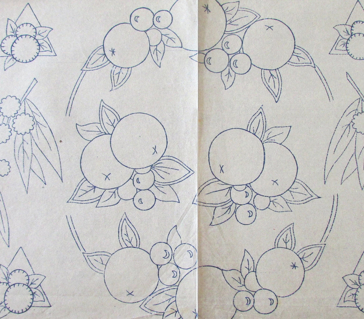 Unused 1931 Weldon's Ladies Journal fruit No.1587 embroidery transfer