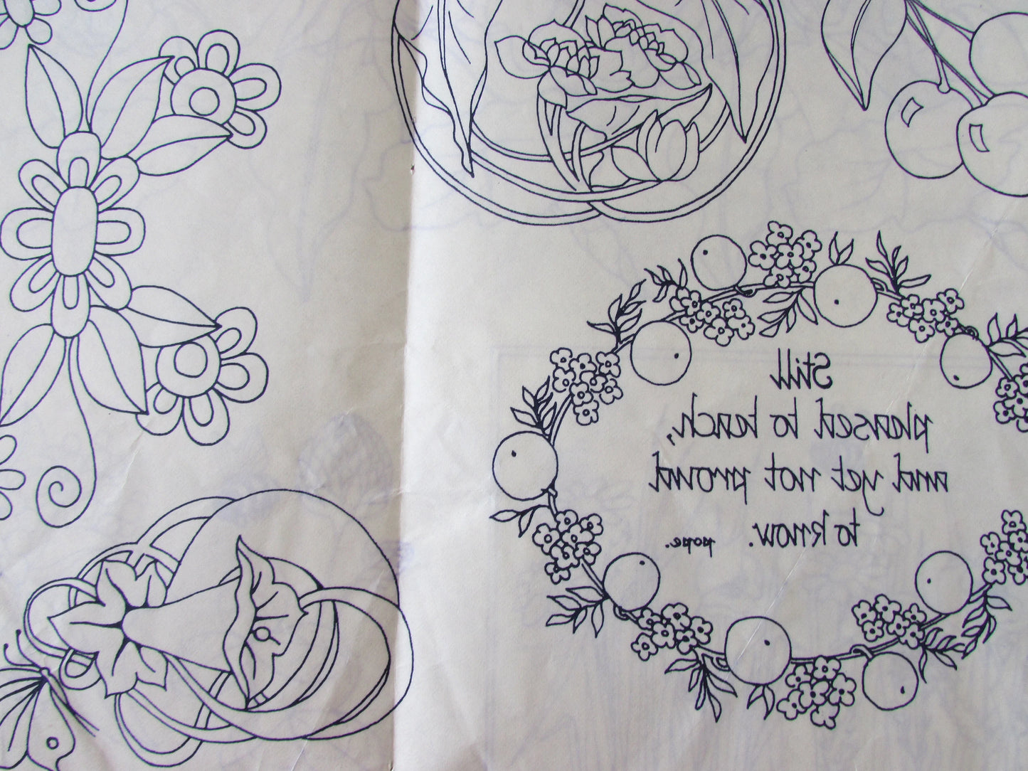 Unused 1974 Womancraft nature-themed embroidery transfer