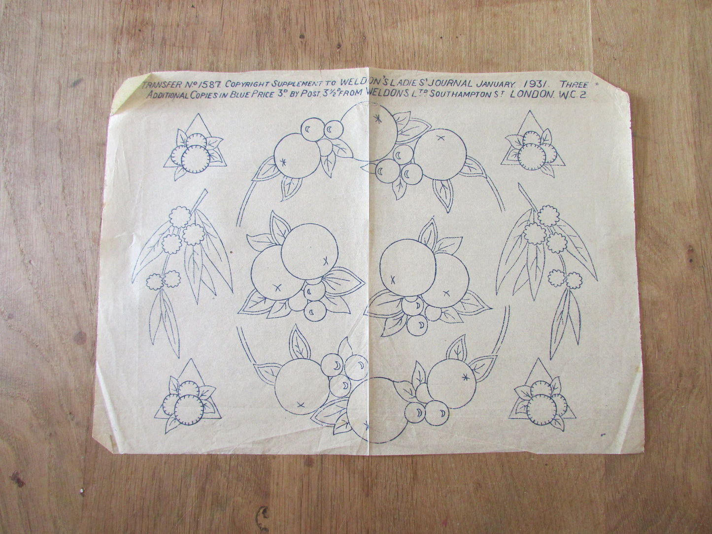 Unused 1931 Weldon's Ladies Journal fruit No.1587 embroidery transfer