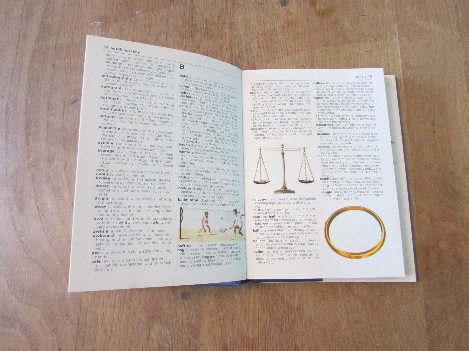 Hamlyn Shorter all-colour children's dictionary (Hardback, 1978)