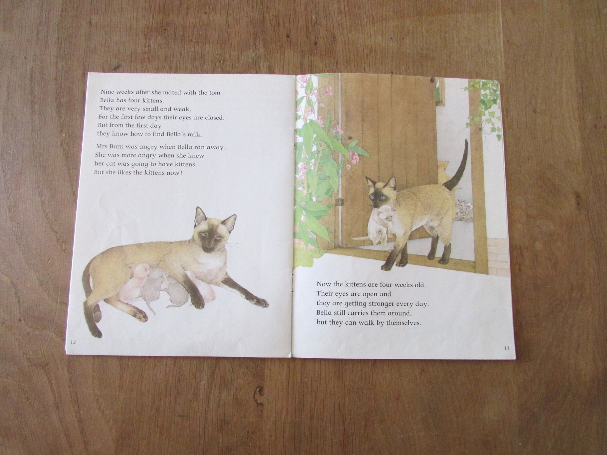 Watching Books: Cat, by Frans Hoppenbrouwers (Softback, 1987)
