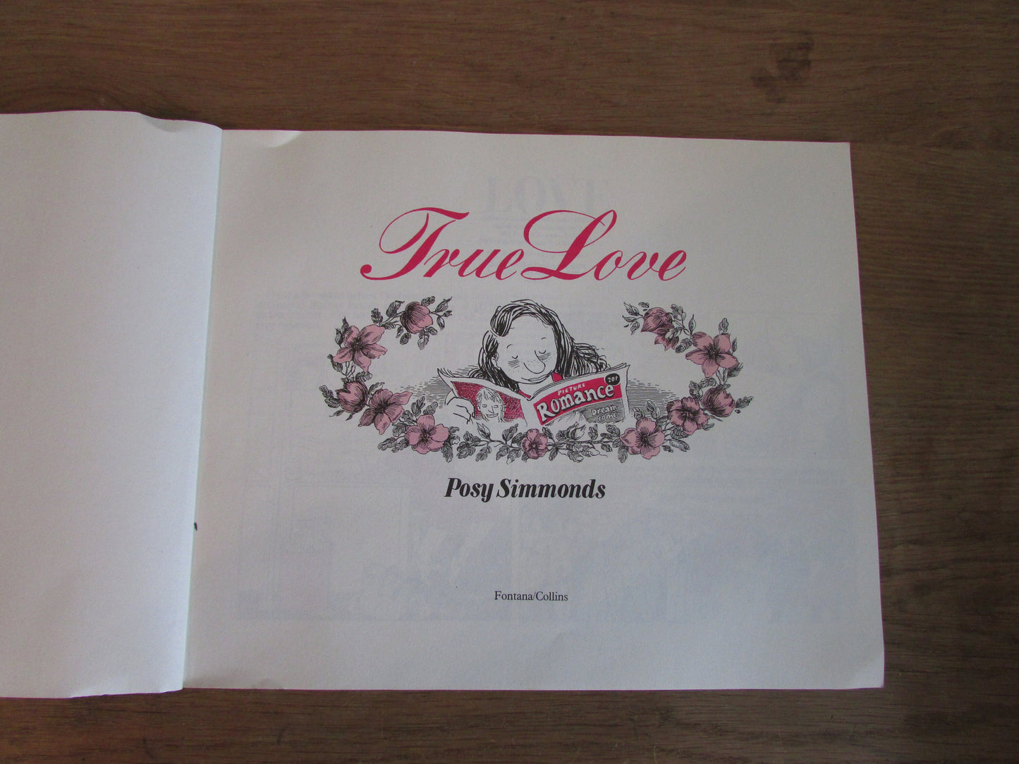 True Love, by Posy Simmonds (Softback, 1983)