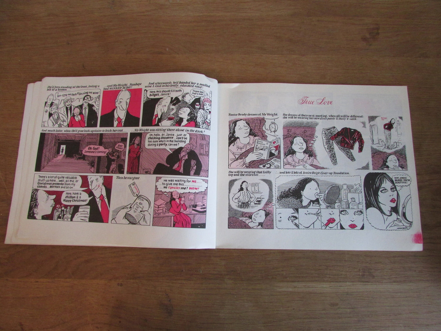 True Love, by Posy Simmonds (Softback, 1983)