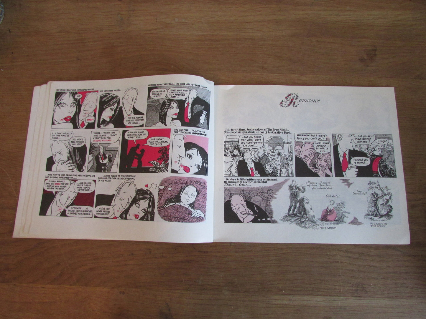 True Love, by Posy Simmonds (Softback, 1983)