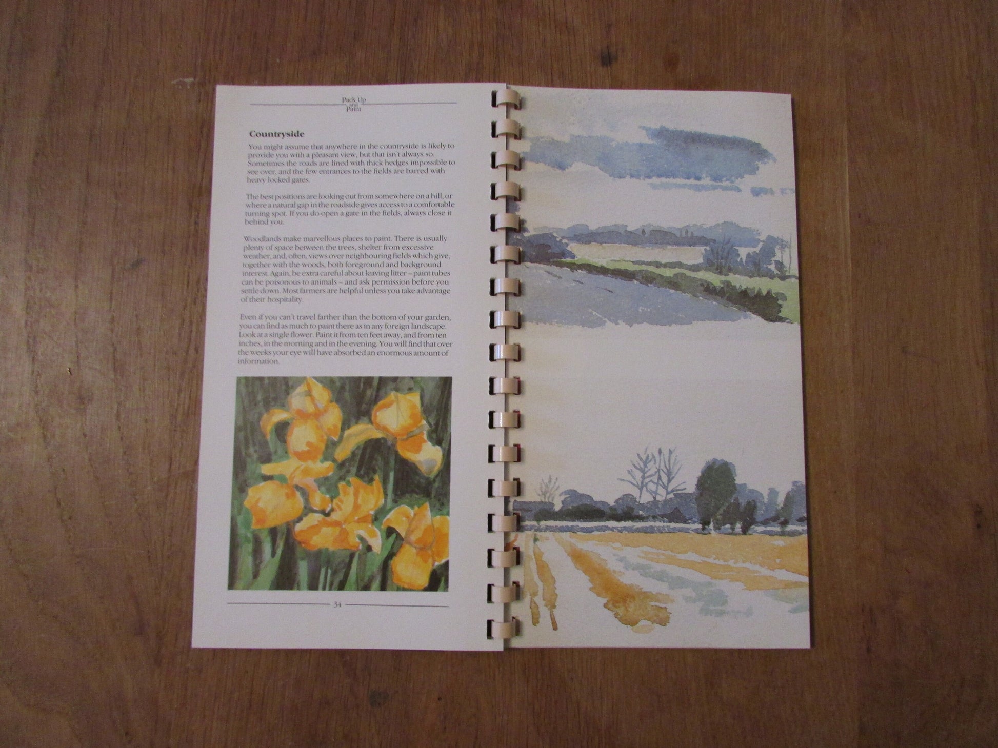 Pack Up and Paint with Watercolour, by Tom Robb (Softback, 1986)